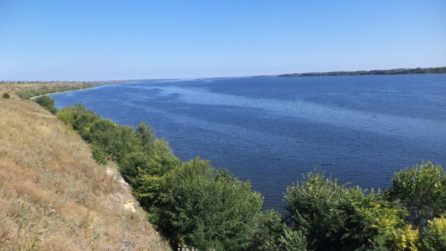Для успокоения нервной системы