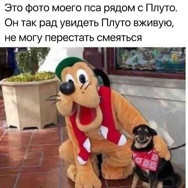 Так себе картинки 27.04.22