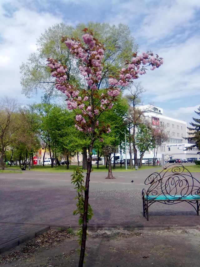 РСП