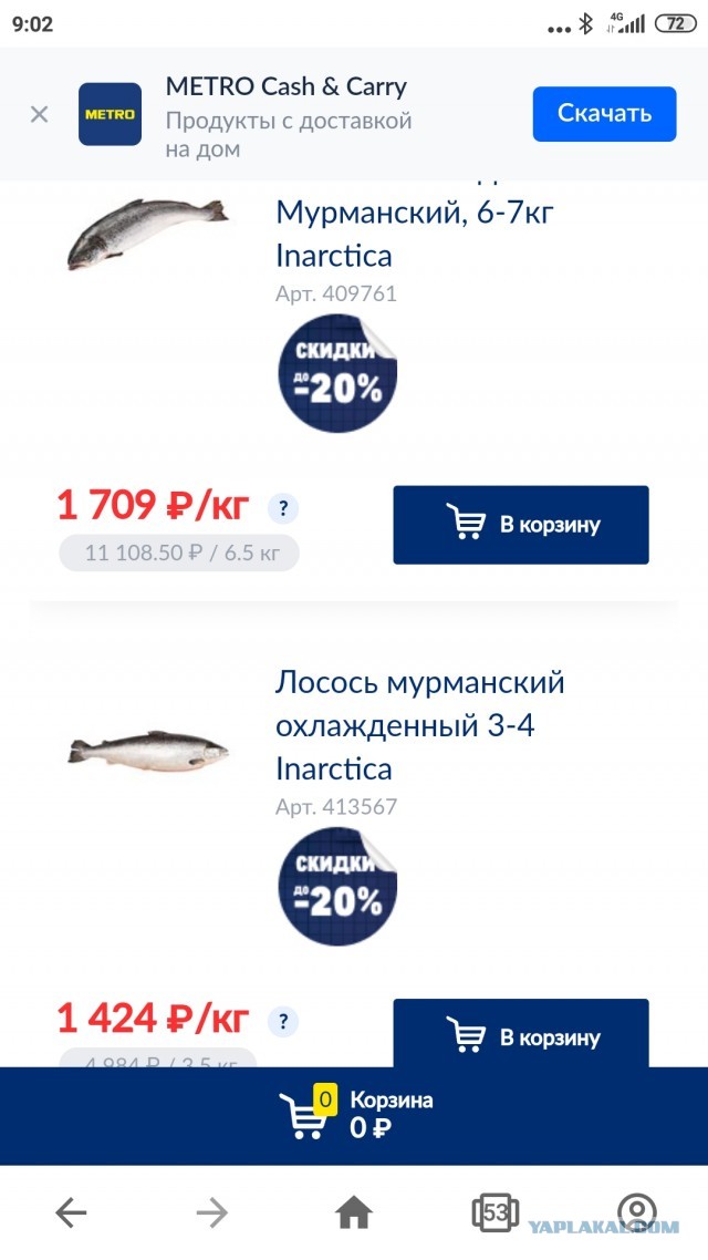 Стоимость лосося сейчас
