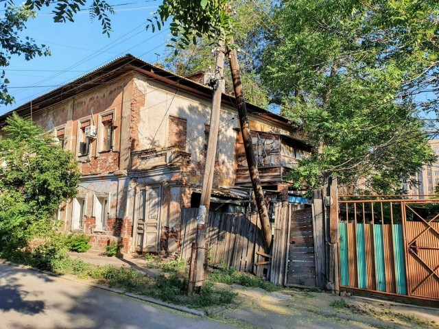 Астрахань – город «мёртвых» собак