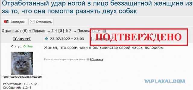 Про "беззащитную" девушку которую собачник пнул по голове