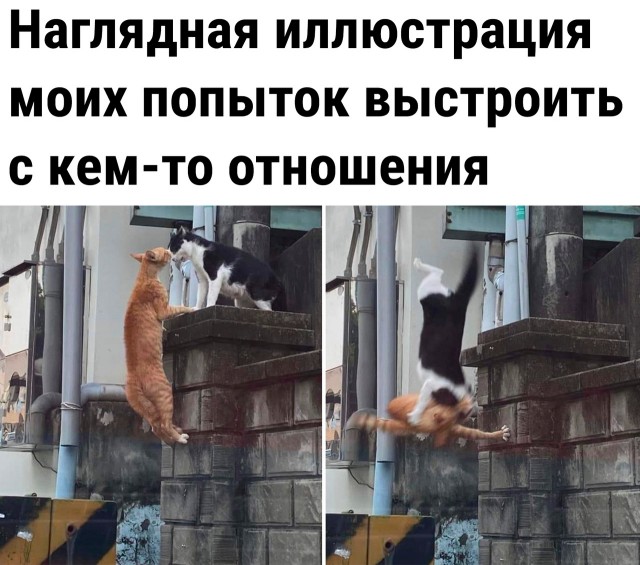 Так себе картинки 18.08.22