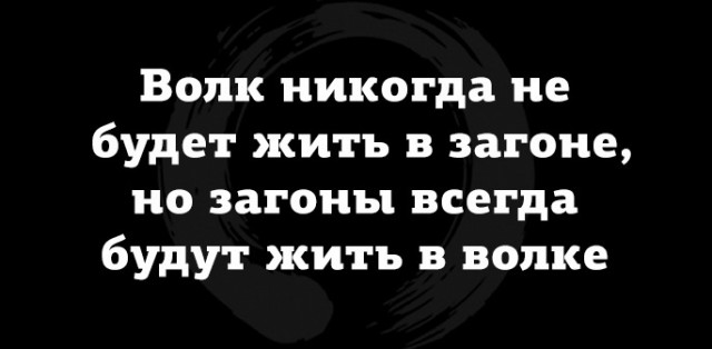 Почему минтай дорогой