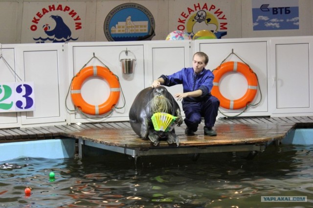 Мурманск глазами карелов