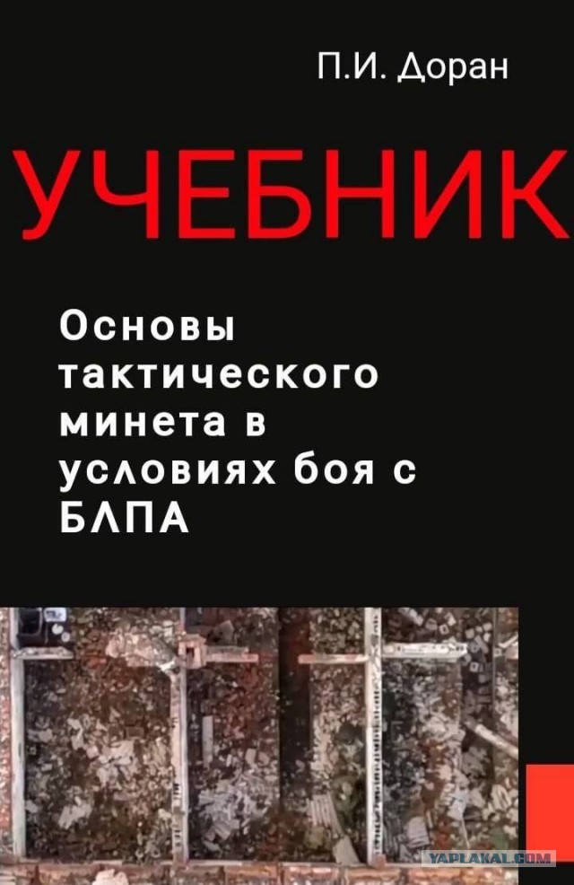 Наша нынешняя армия и ее пацаны оказались лучше общества