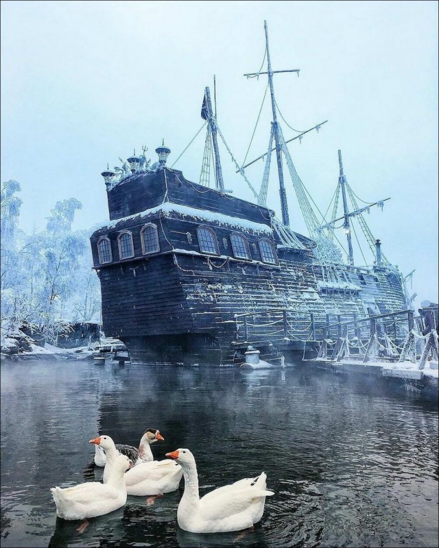Просто фотографии