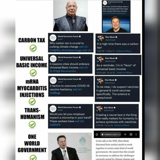 Победная поступь идиотизма по планете.