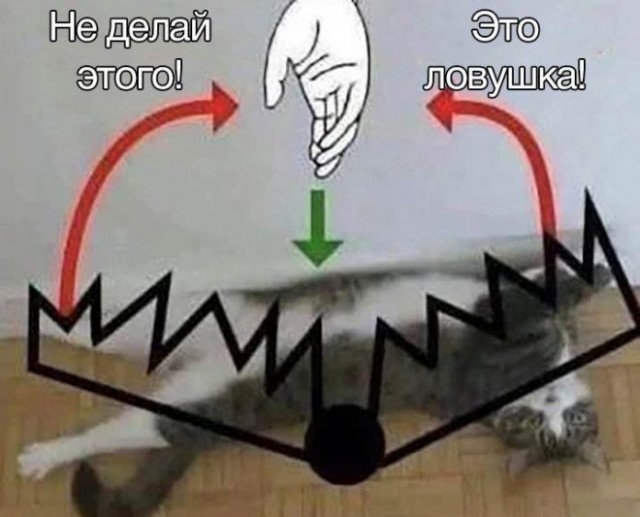 Картинки и мемы для настроения - 123