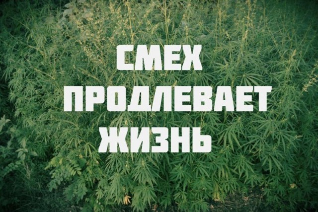 Назад к корням! История неформального объединения свободных людей из 80-х - 90-х в СССР