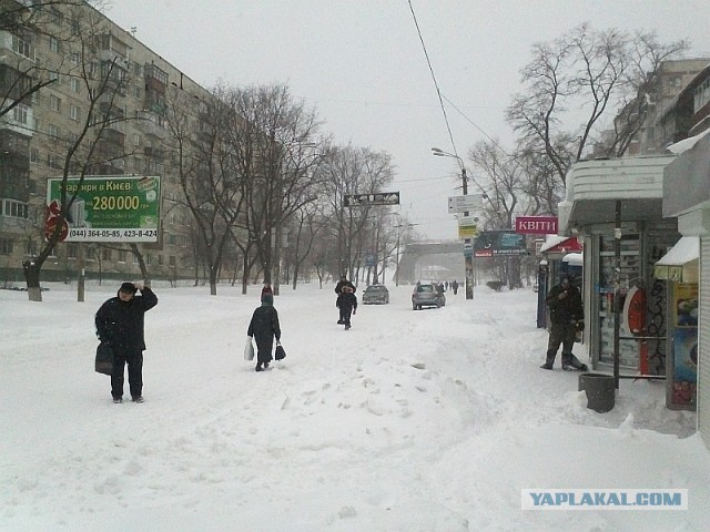 23 марта. Киев. Весна.