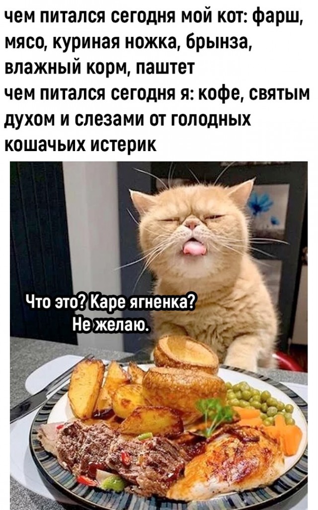 Так себе картинки 26.01.23