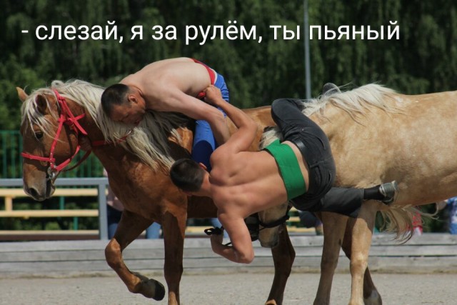 Так себе картинки 22.02.23