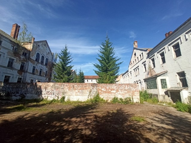 Заброшенная психиатрическая больница Алленберг, Велау, теперь Знаменск