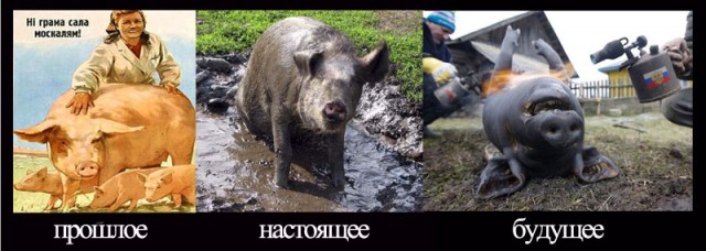 Политика по Украински