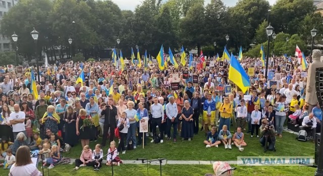 Впечатляющий по количеству участников митинг в поддержку Украины прошел сегодня в Норвегии