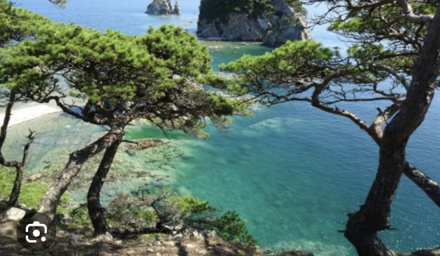 Настроение в Крыму отдыхающих на 17 июля. Вести с морей