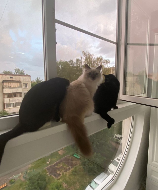 Доброта