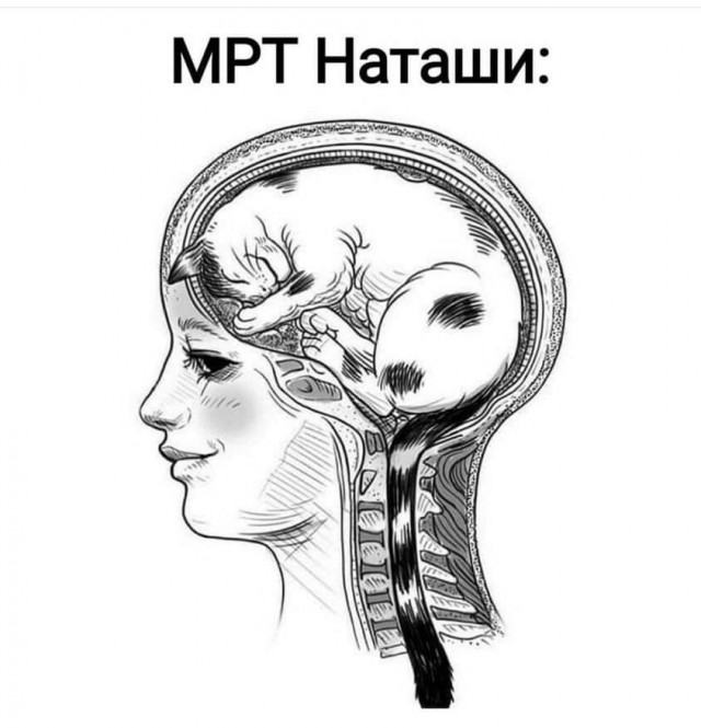 Баяны и не совсем. Понедельничное