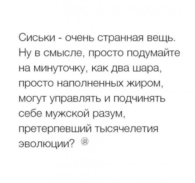 Весёлый полтишок 15.10.23
