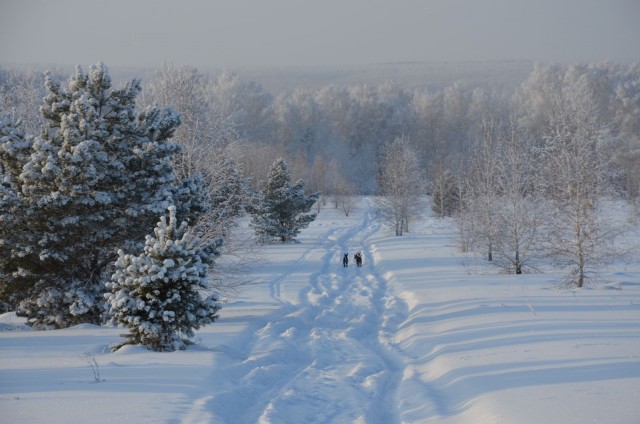 Зимняя красота