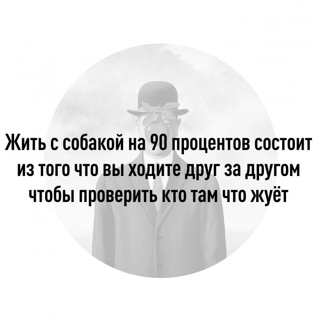 Юмор в картинках и без