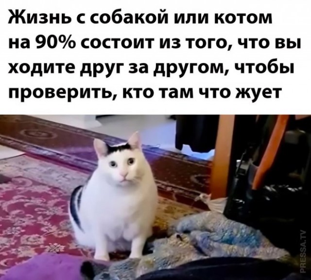 Всего понемногу. От 29.01.24