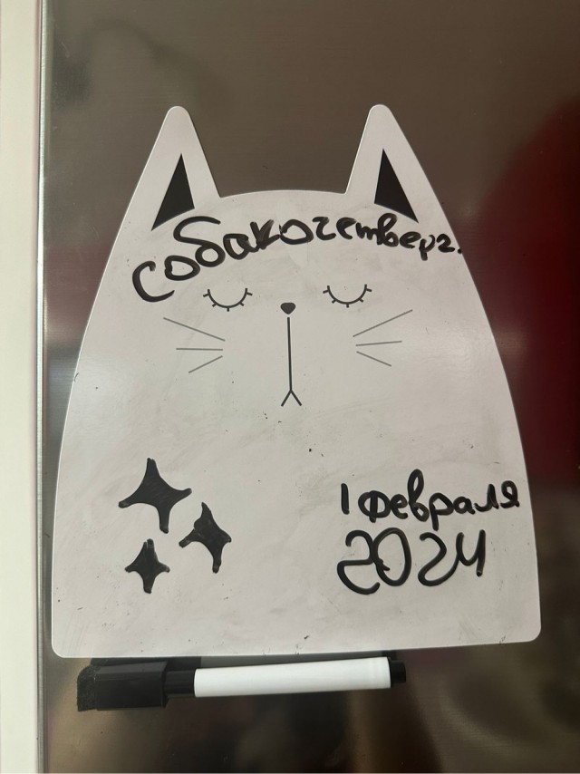 Девочка, которая не бросит