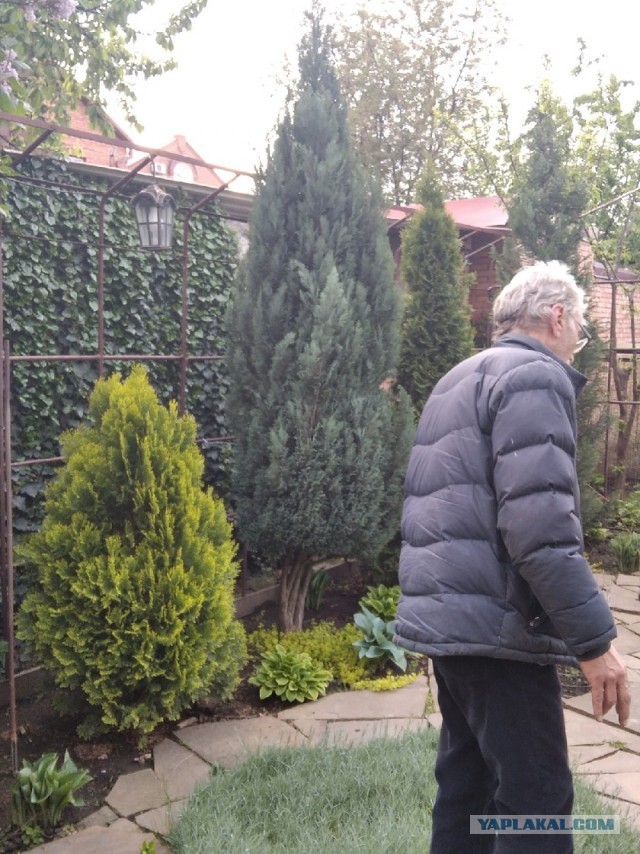 Путин рассказал про уничтожение Германией собственного автопрома