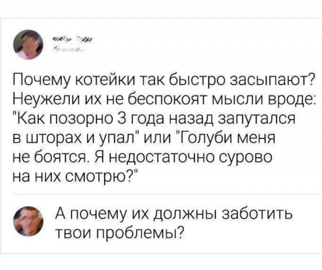 Так себе картинки 24.04.24