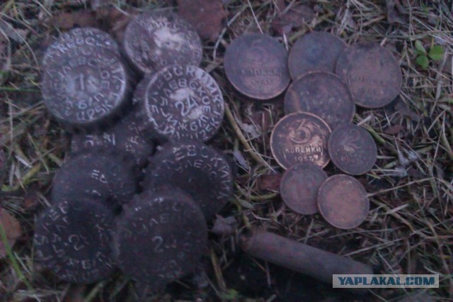 Находки в обычном парке