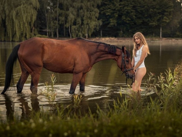 ФотоВинегрет