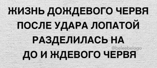 Всего понемногу. От 27.09.24