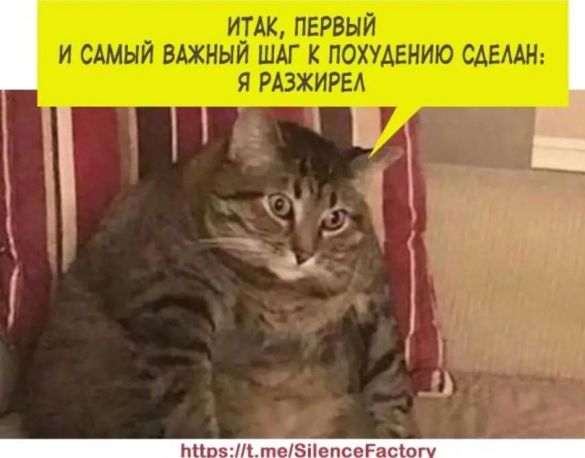 Нуштош 04.10.2024