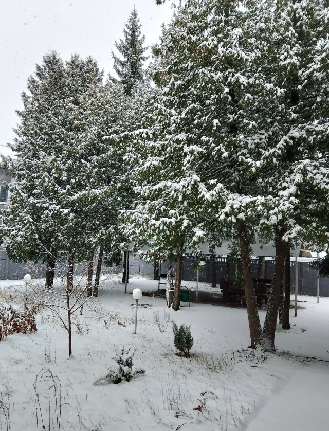 А что у вас за окном?