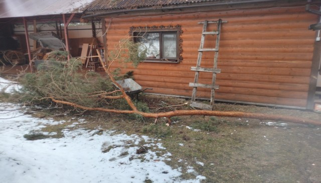 Последствия недавнего штормового ветра.