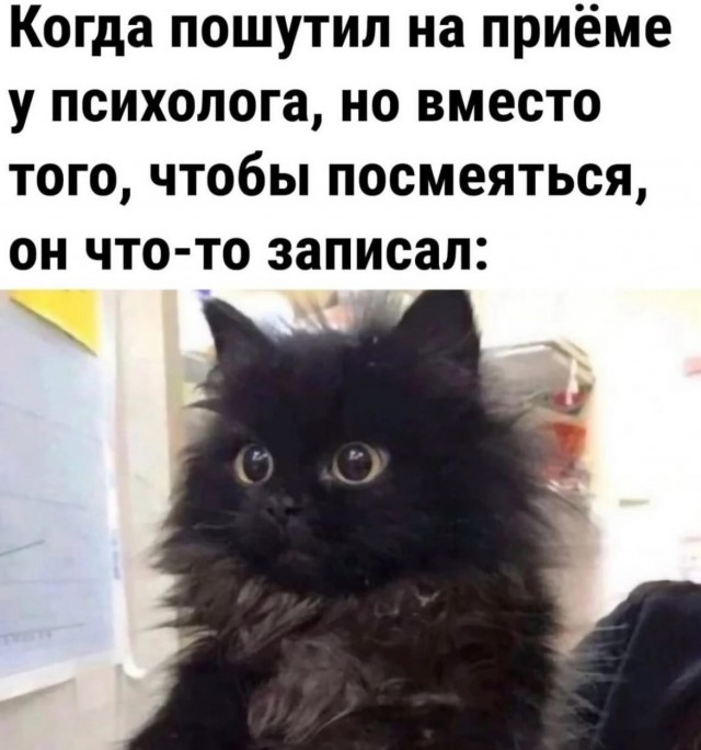 Завалялось тут случайно немного забавных картинок