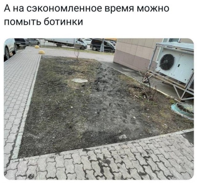 Веселые картинки в пятницу (16.02)