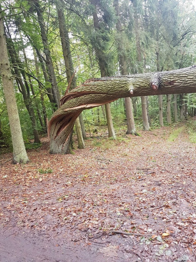 ФотоВинегрет