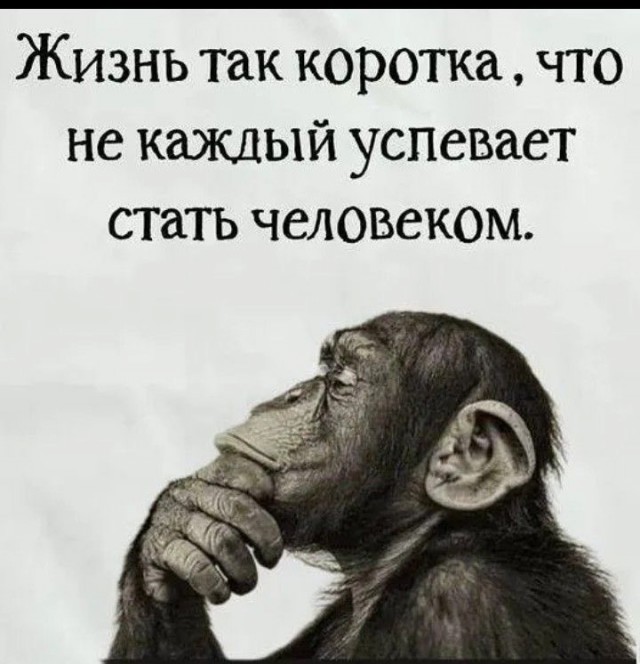 Прикольные и просто красивые картинки 06.06.2025