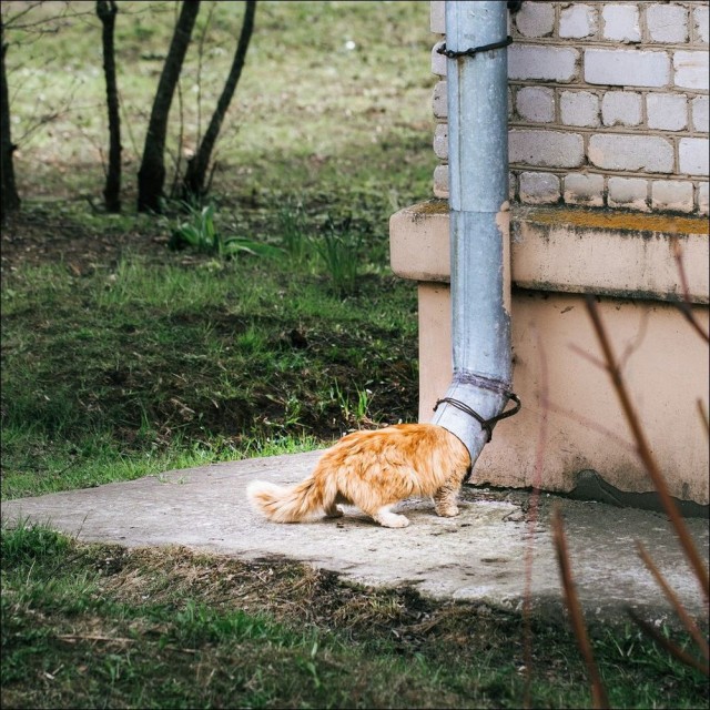 Псто