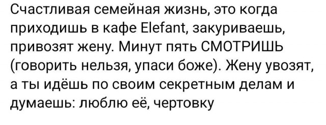 Так себе картинки 19.08.25