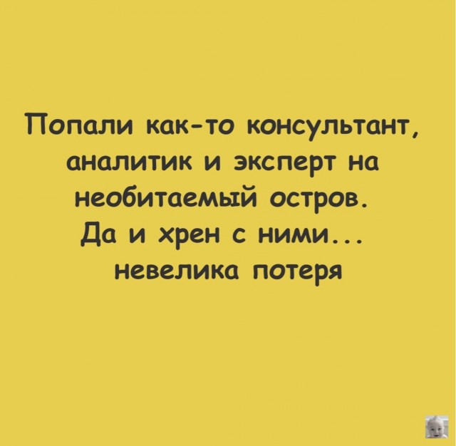 Весёлый полтишок 22.08.25
