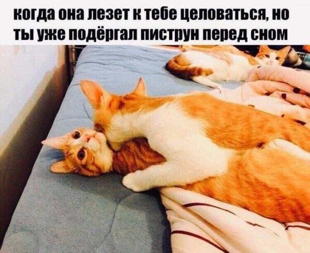 Так себе картинки 01.09.25