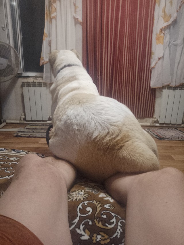 Ассорти