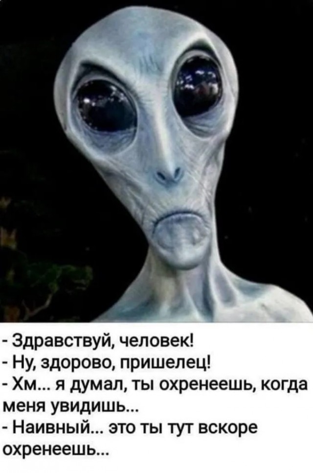 Если у вас нет паранойи, не значит, что за вами не следят