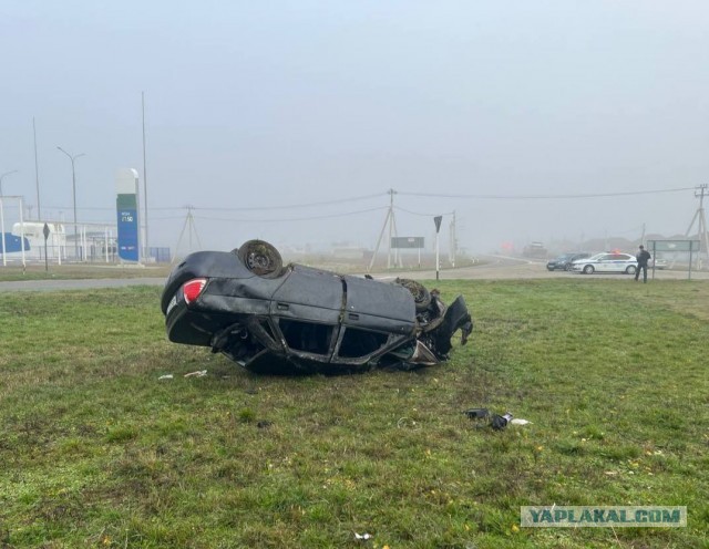 Давайте понаблюдаем