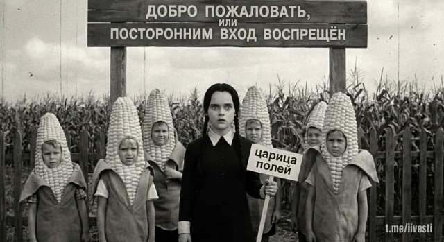 Где-то в Мультивселенной