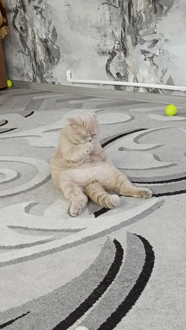 Оглянись, незнакомый прохожий