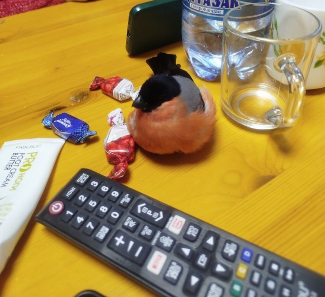 Неравнодушный человек